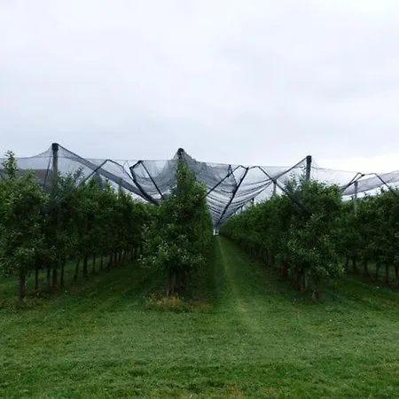Apple شقة Kippenhausen